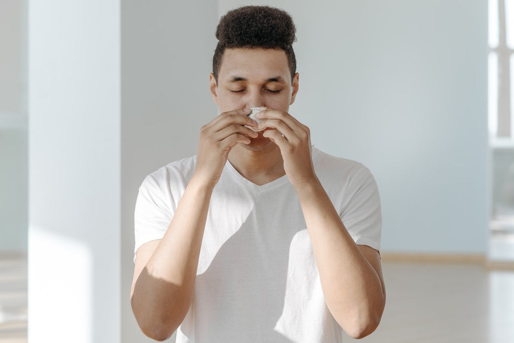 Are Your Allergies Worse Indoors? A Complete Guide to a Healthier Indoor Environment