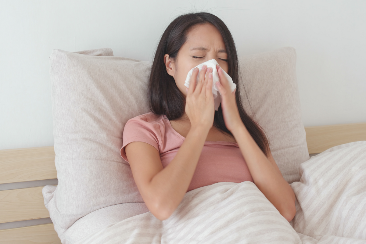 Allergies VS. Sleep Winning the Battle for Restful Nights The Ecology Works