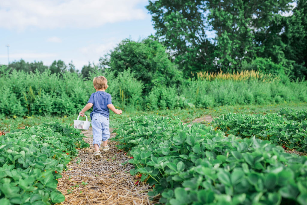 Celebrate Earth Week 2021 With These 15 Sustainability Activities for Kids