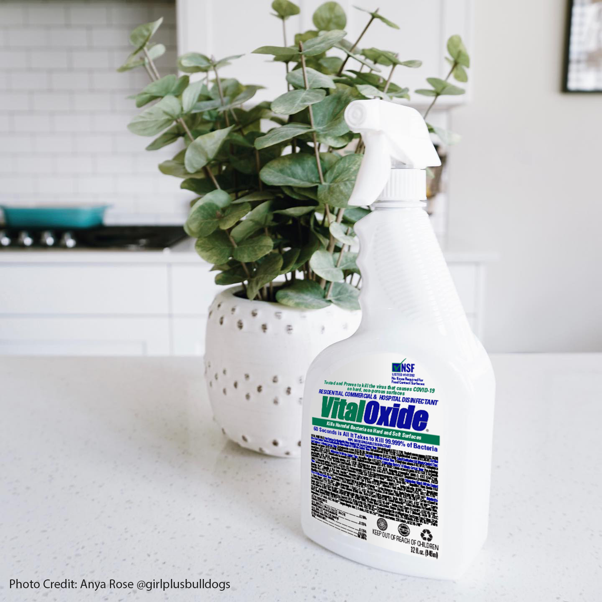 Vital Oxide 32oz Mold-Mildew Killer, Disinfectant Cleaner & Odor Remover - The Ecology Works
