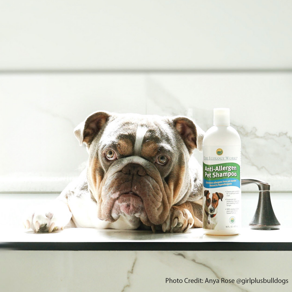 Anti mite 2024 shampoo for dogs